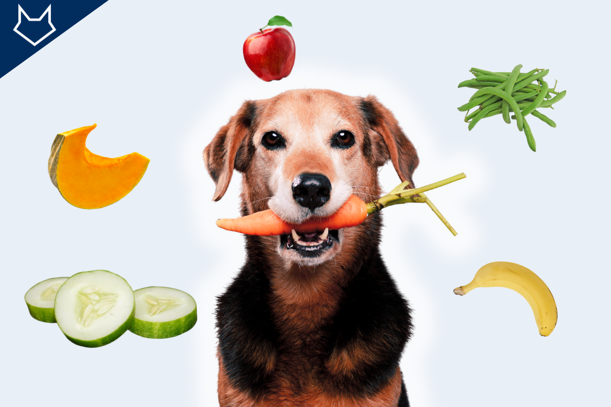 au centre un chien tient une carrotte avec des fruits et légumes autour de lui