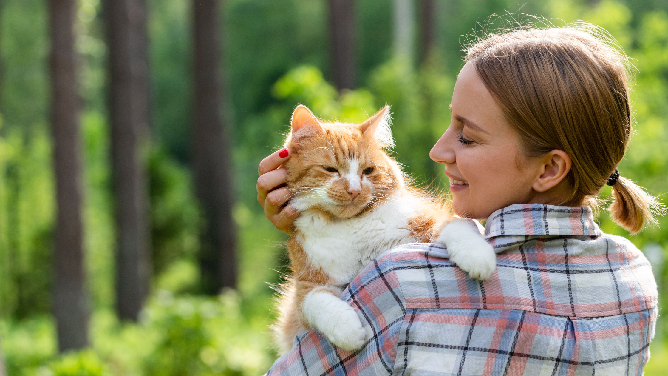 chat roux et blanc dans les bras de sa propriétaire souriante