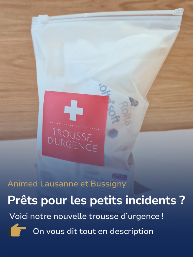 Comment réagir quand votre animal a un accident imprévu