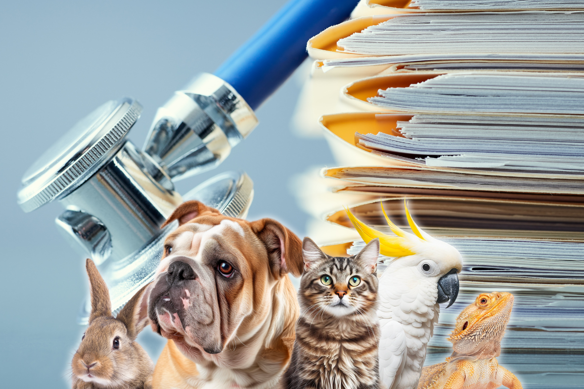 des animaux au premier plan devant l'image d'une tête de stétoscope à côté de dossiers médicaux