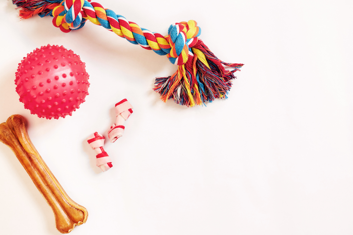 des jouets et friandises à mâcher pour chien