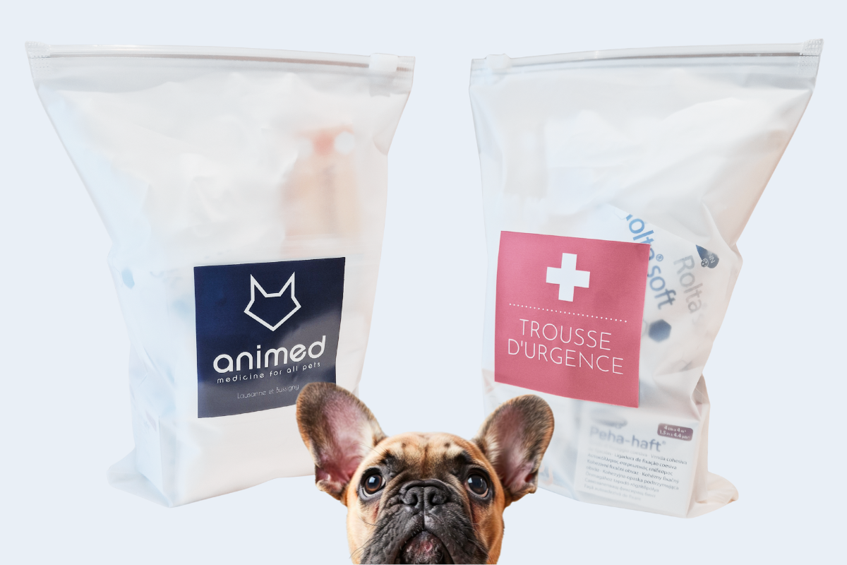 images recto et verso de la trousse d'urgence Animed avec la tête d'un petit chien en bas