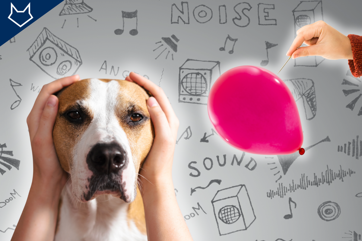 un chien avec deux mains sur ses oreilles et une main qui tient une épingle vers un ballon