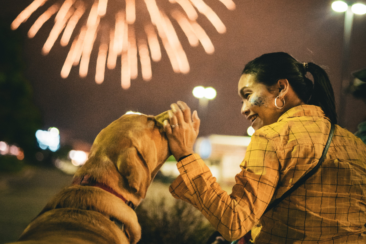un chien et une dame qui lui caresse le nez sont assis devant un feu d'artifice