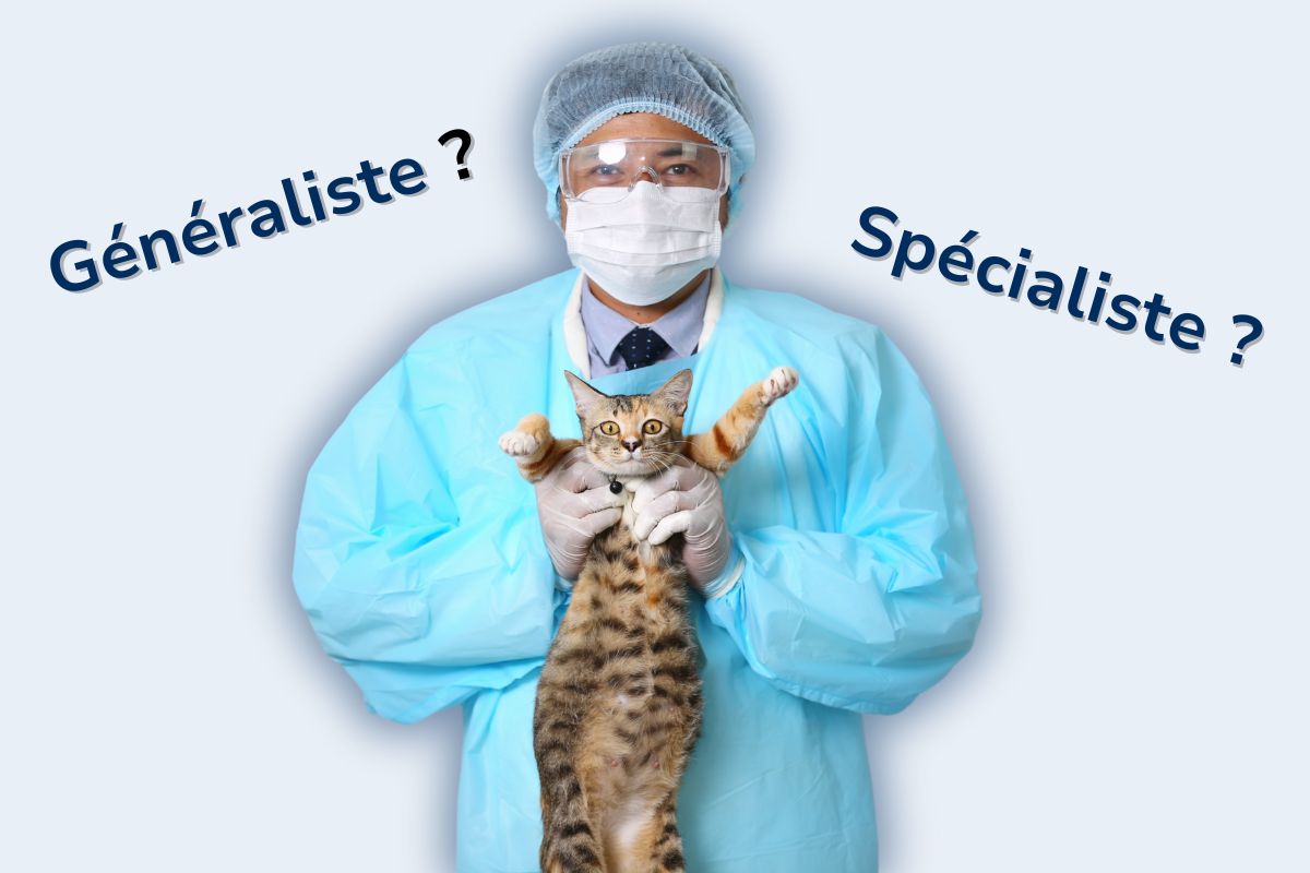 un vétérinaire en tenue de chirurgie porte un chat et on peut lire à gauche Généraliste et à droite Spécialiste