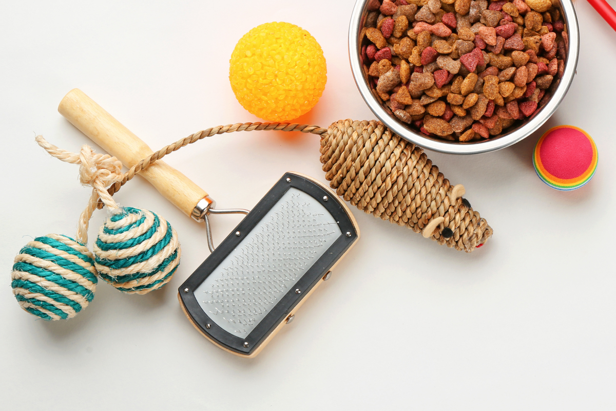 une brosse, une gamelle pleine et des jouets pour chats vus du dessus