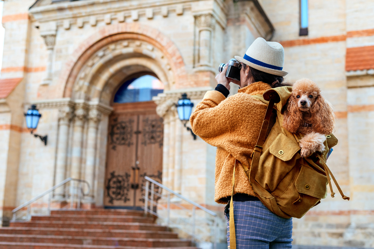 une personne photograhie un monument avec son chien dans son sac à dos